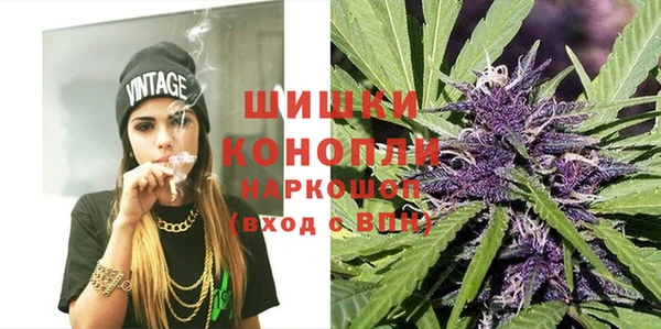 молекула духа Богородицк