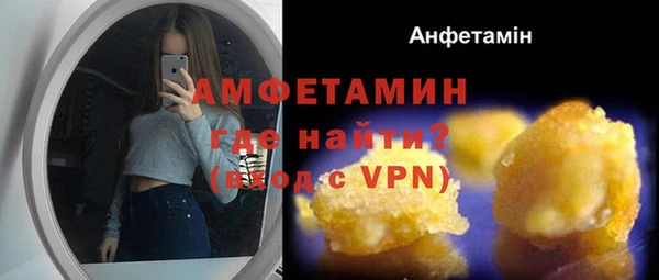 молекула духа Богородицк