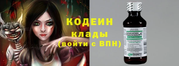 молекула духа Богородицк