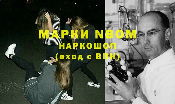 молекула духа Богородицк