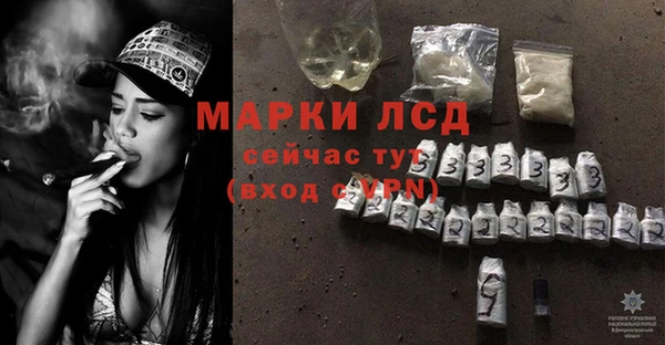 молекула духа Богородицк