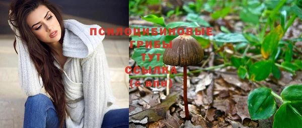 молекула духа Богородицк