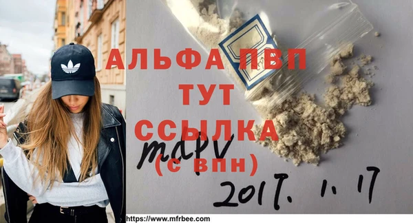 молекула духа Богородицк