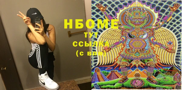 молекула духа Богородицк