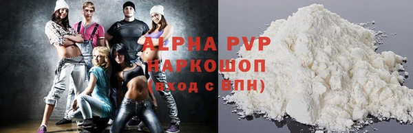 молекула духа Богородицк